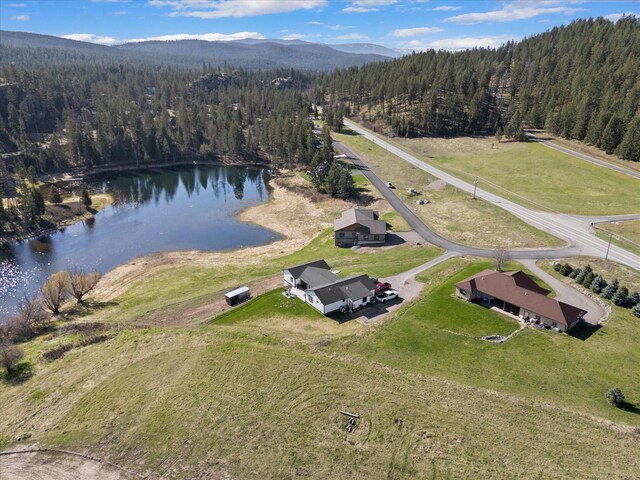 21 Bear Paw Loop, Bigfork, MT 59911 - aerial view of property's location featuring a forest and a water and mountain view