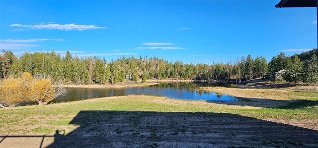 21 Bear Paw Loop, Bigfork, MT 59911 - view of yard with a water view and a wooded view