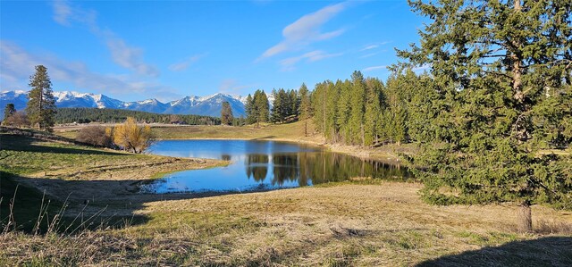 21 Bear Paw Loop, Bigfork, MT 59911 - water view featuring mountains