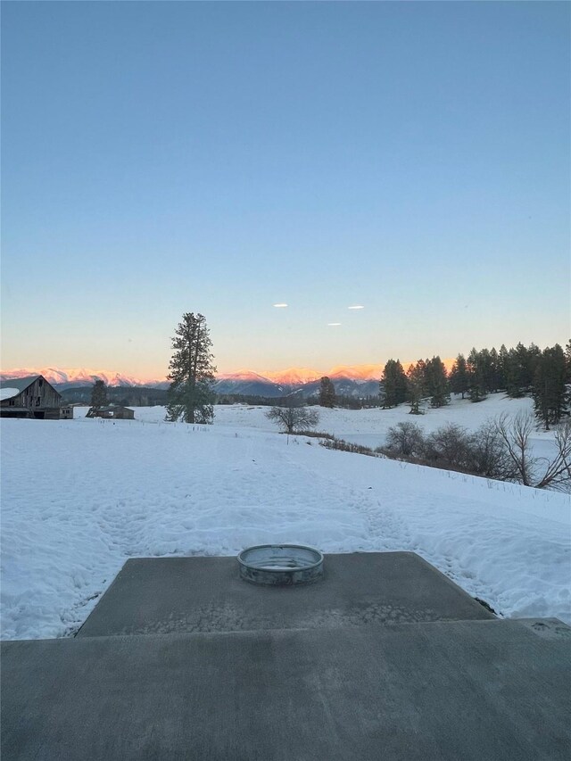21 Bear Paw Loop, Bigfork, MT 59911 - view of yard layered in snow