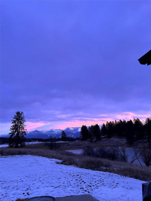 21 Bear Paw Loop, Bigfork, MT 59911 - view of yard layered in snow