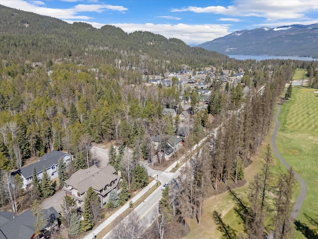 drone / aerial view featuring a mountain view and a forest view