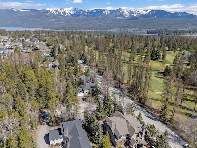 birds eye view of property with a mountain view and a forest view