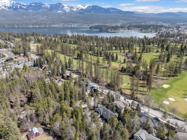 aerial view featuring a water and mountain view and a view of trees