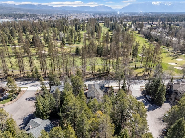 bird's eye view with a mountain view