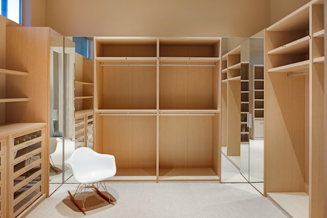 walk in closet with carpet
