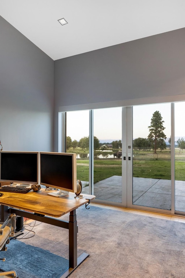 carpeted home office featuring plenty of natural light