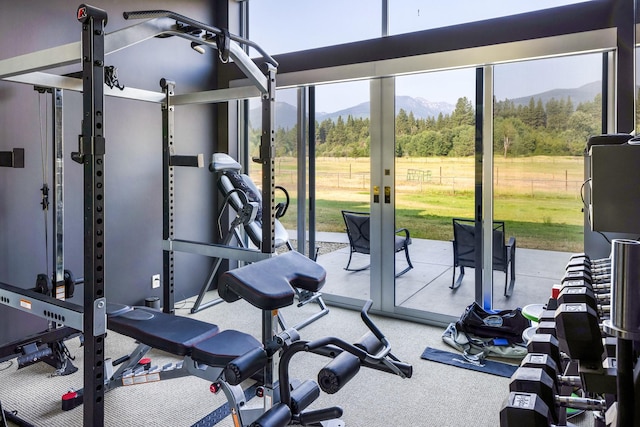 exercise room with a mountain view and carpet