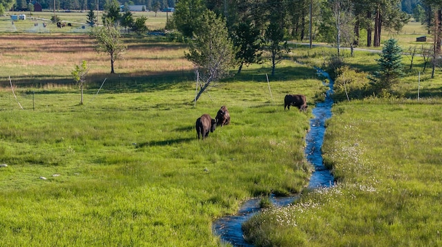 view of community featuring a rural view
