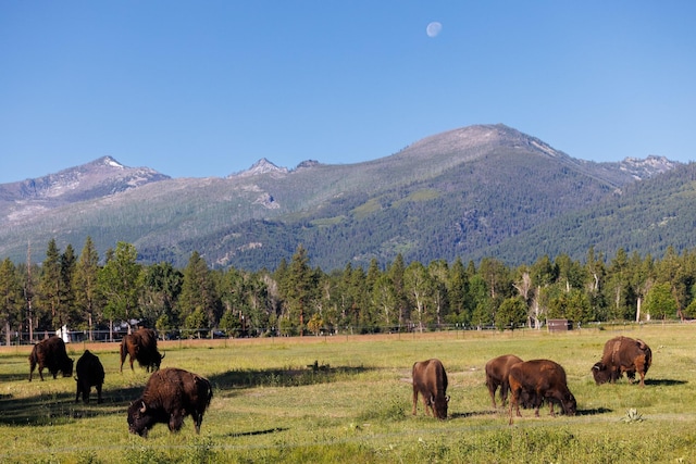 view of mountain backdrop with rural landscape, a pastoral area, and a forest