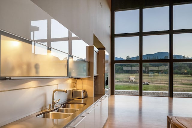 kitchen featuring a mountain view, a sink, white cabinets, modern cabinets, and light wood-type flooring