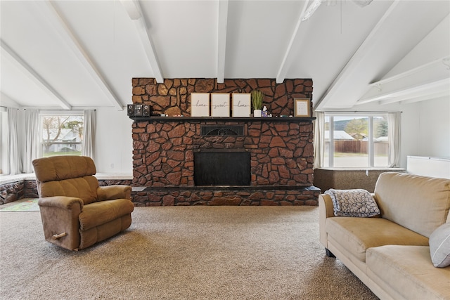 648 7th Ave W, Kalispell, MT 59901 - living room featuring healthy amount of natural light, carpet, and a fireplace