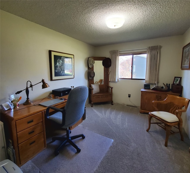3208 Paul Ln, Missoula, MT 59803 - carpeted home office with a textured ceiling
