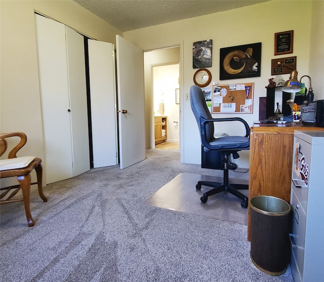 3208 Paul Ln, Missoula, MT 59803 - office area featuring a textured ceiling and carpet floors