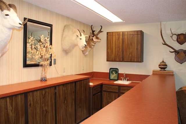 3208 Paul Ln, Missoula, MT 59803 - bar featuring wallpapered walls, a textured ceiling, and a sink