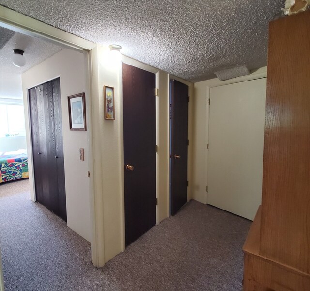 3208 Paul Ln, Missoula, MT 59803 - corridor featuring a textured ceiling and carpet flooring