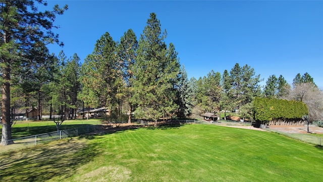 3208 Paul Ln, Missoula, MT 59803 - view of yard with fence