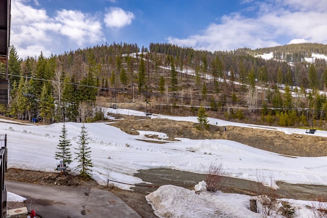 view of mountain feature with a forest view