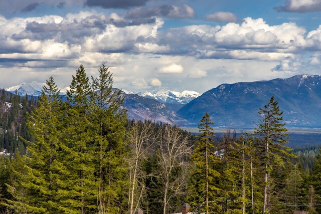 property view of mountains featuring a view of trees