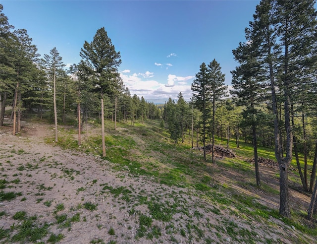 270 Westridge Dr, Somers, MT 59932 - view of nature with a view of trees