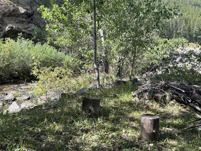 view of nature featuring a view of trees