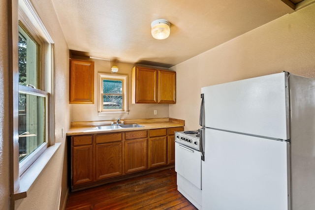 kitchen with a sink, white appliances, dark wood-type flooring, and brown cabinets