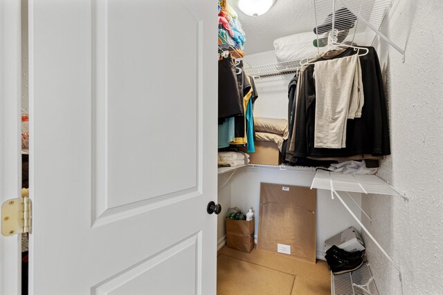 view of walk in closet