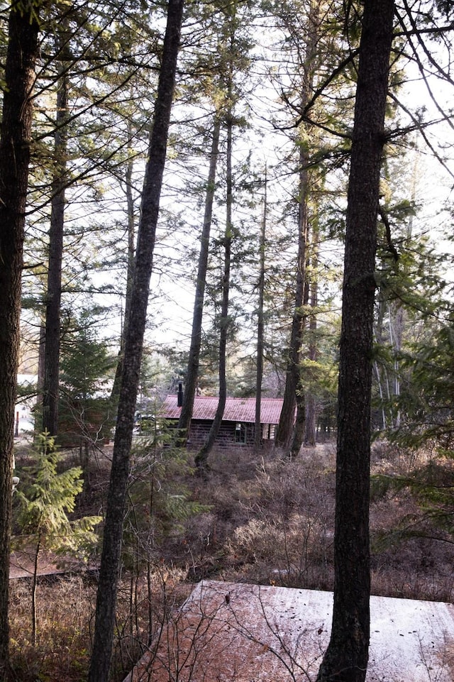 286 Possum Trl, Whitefish, MT 59937 - view of nature