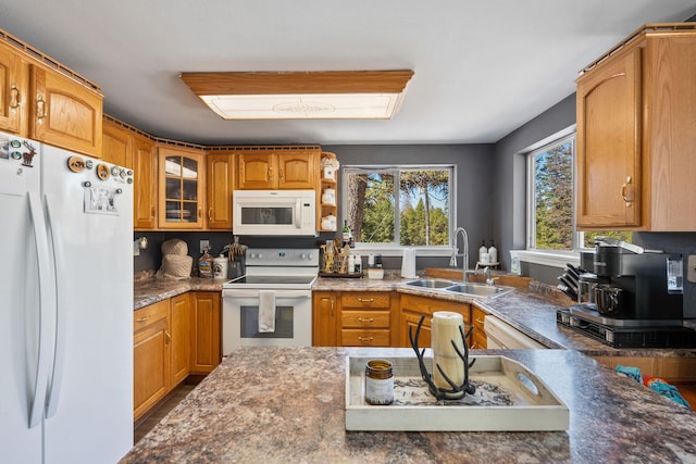 kitchen featuring glass insert cabinets, a sink, brown cabinets, and white appliances