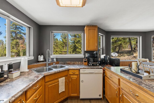 kitchen featuring wood finished floors, brown cabinets, dishwasher, and a sink