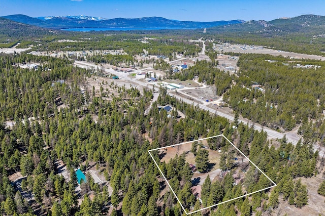 birds eye view of property with a mountain view and a forest view