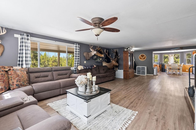 living room featuring ceiling fan and light wood-type flooring