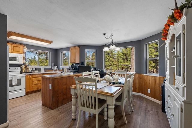 dining area with an inviting chandelier, wooden walls, light wood-type flooring, and a wainscoted wall