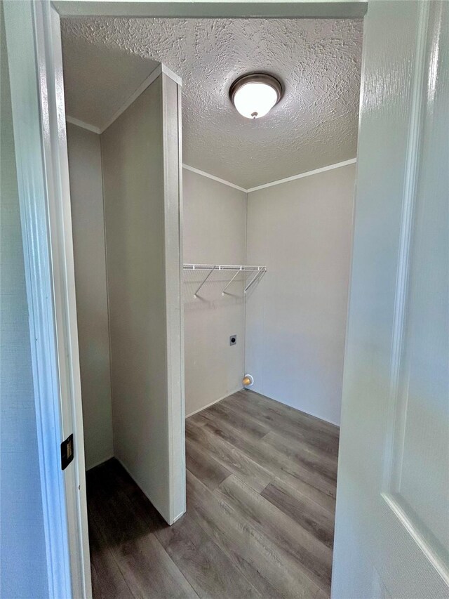 spacious closet with wood finished floors