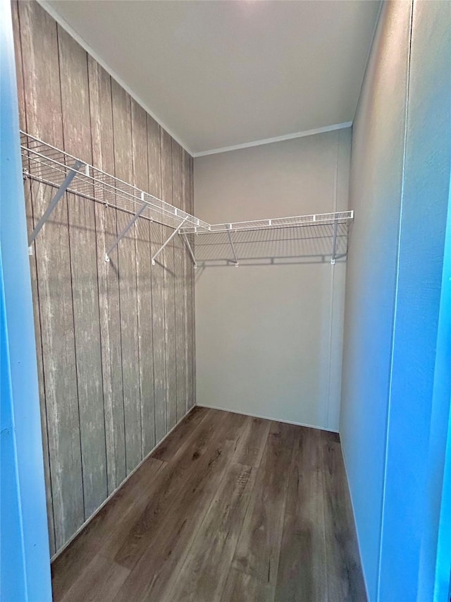 spacious closet featuring wood finished floors