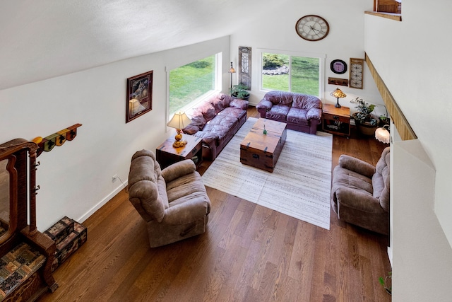 390 Dairy Ln, Superior, MT 59872 - living room with wood finished floors and vaulted ceiling