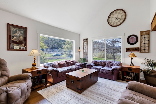 390 Dairy Ln, Superior, MT 59872 - living area featuring light wood-type flooring and high vaulted ceiling