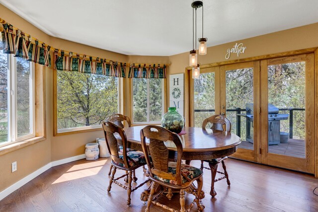 390 Dairy Ln, Superior, MT 59872 - dining area with baseboards, wood finished floors, and french doors