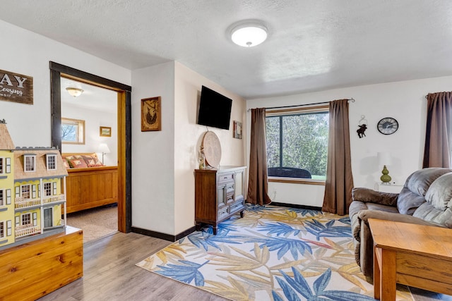 390 Dairy Ln, Superior, MT 59872 - living room with light wood-style flooring, baseboards, healthy amount of natural light, and a textured ceiling