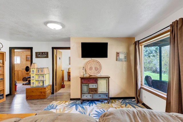 390 Dairy Ln, Superior, MT 59872 - bedroom featuring a textured ceiling, wood finished floors, and baseboards