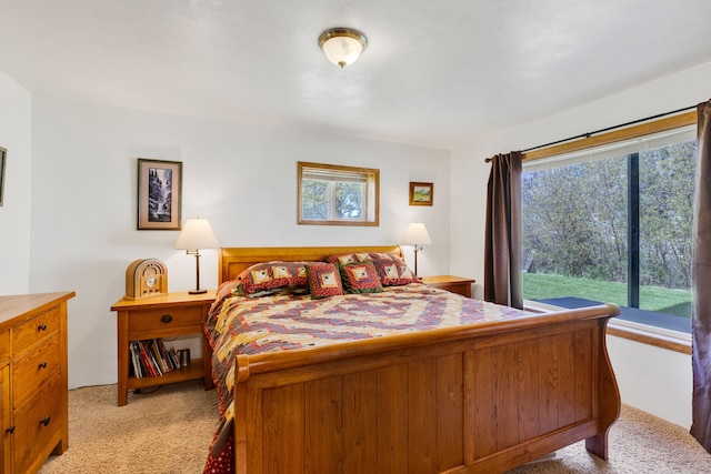 390 Dairy Ln, Superior, MT 59872 - bedroom featuring light carpet