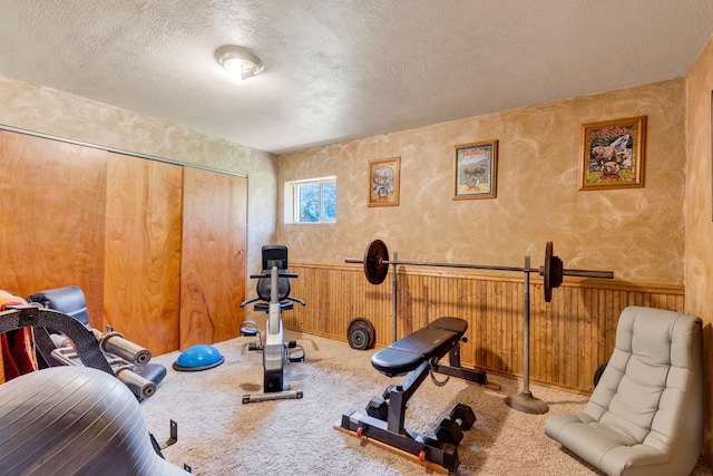 390 Dairy Ln, Superior, MT 59872 - workout area with a textured ceiling, carpet floors, a wainscoted wall, and wood walls