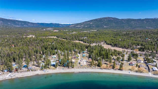 drone / aerial view with a mountain view and a view of trees