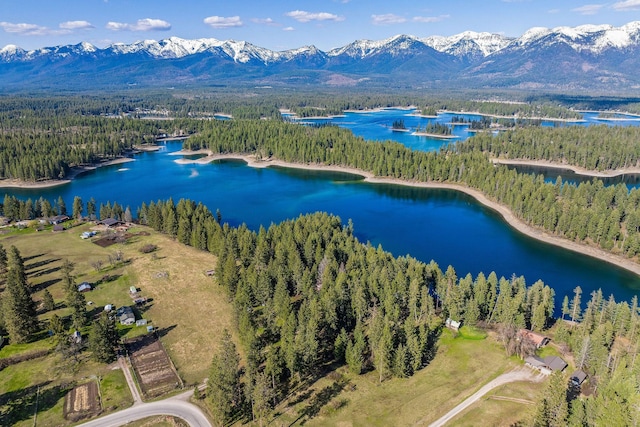 701 Mccaffery Rd, Bigfork, MT 59911 - aerial view of a heavily wooded area and a water and mountain view