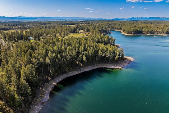 bird's eye view with a water and mountain view and a view of trees