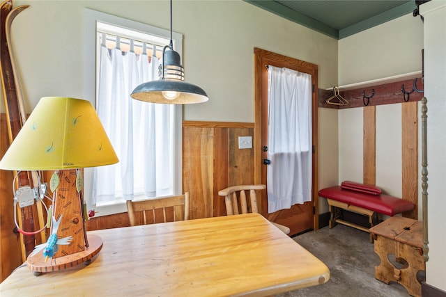 dining area featuring a wealth of natural light