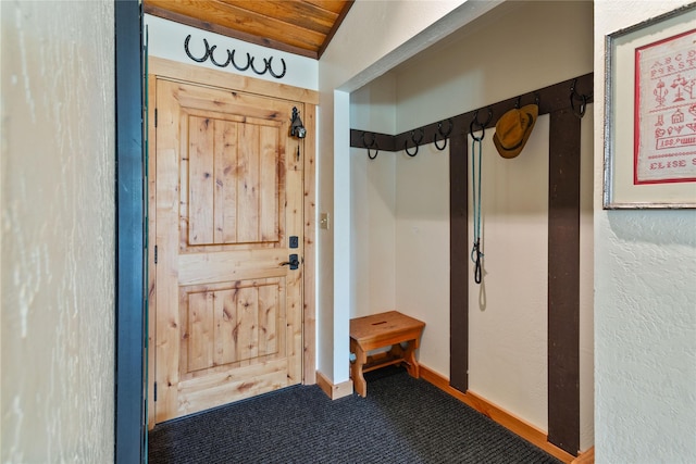 mudroom with carpet flooring