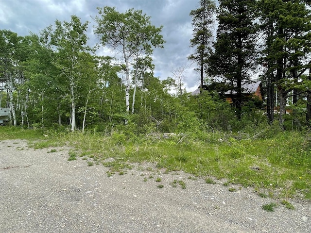 113 Heart Butte Cutoff Rd, East Glacier Park, MT 59434