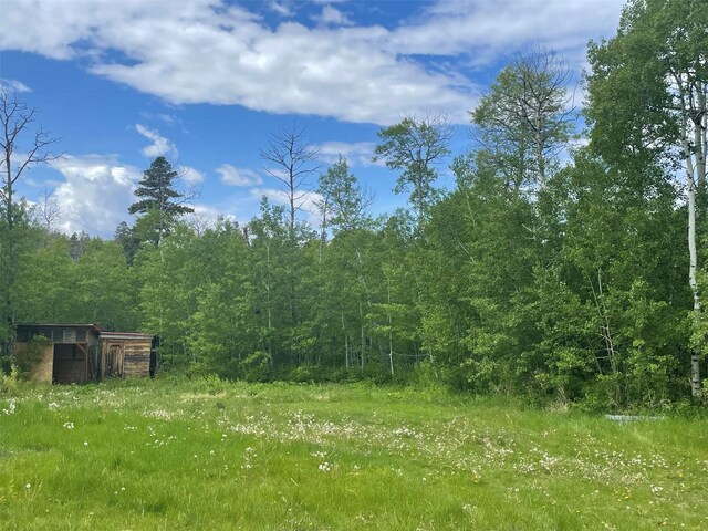 113 Heart Butte Cutoff Rd, East Glacier Park, MT 59434