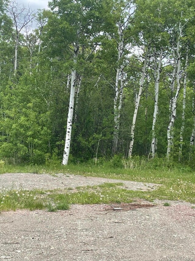 113 Heart Butte Cutoff Rd, East Glacier Park, MT 59434